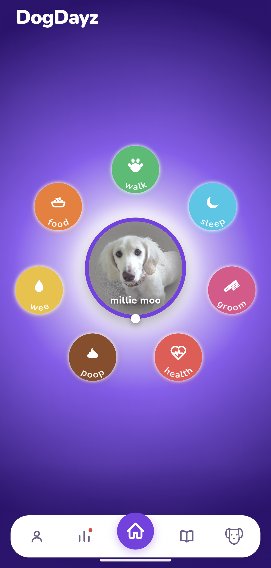 DogDayz dashboard